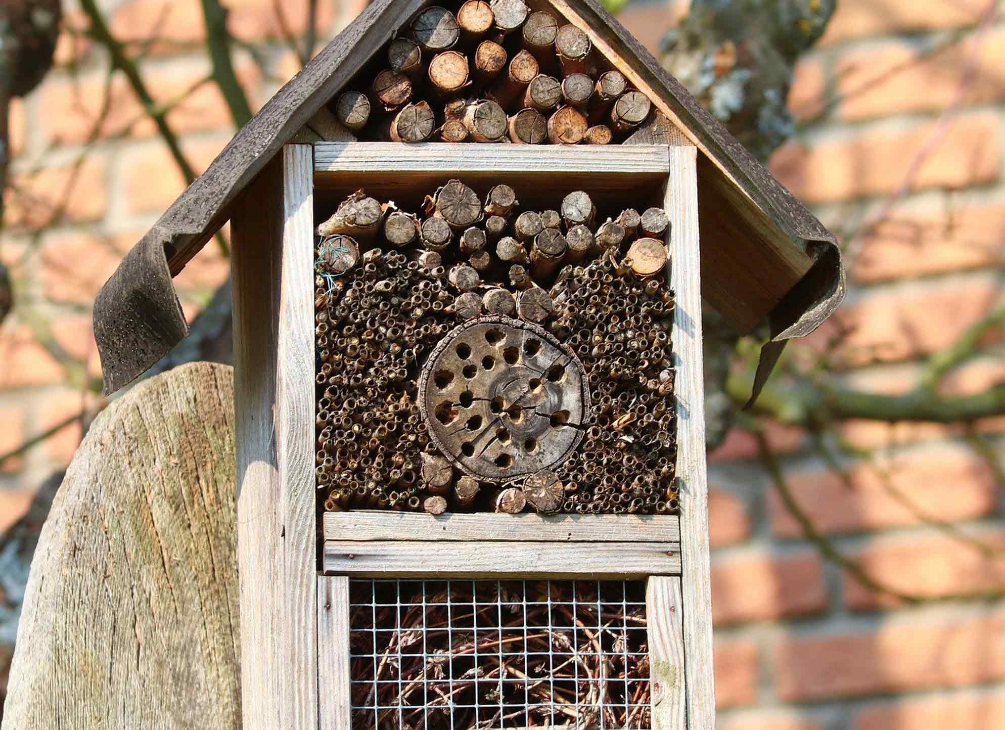 campign ecologie ile de re